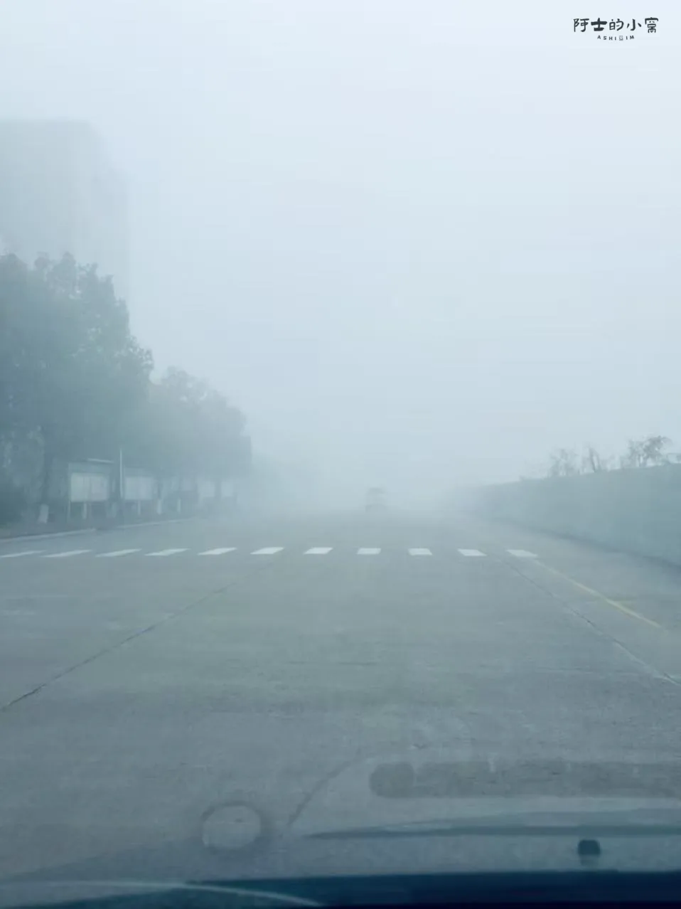 早起的一天，大雾