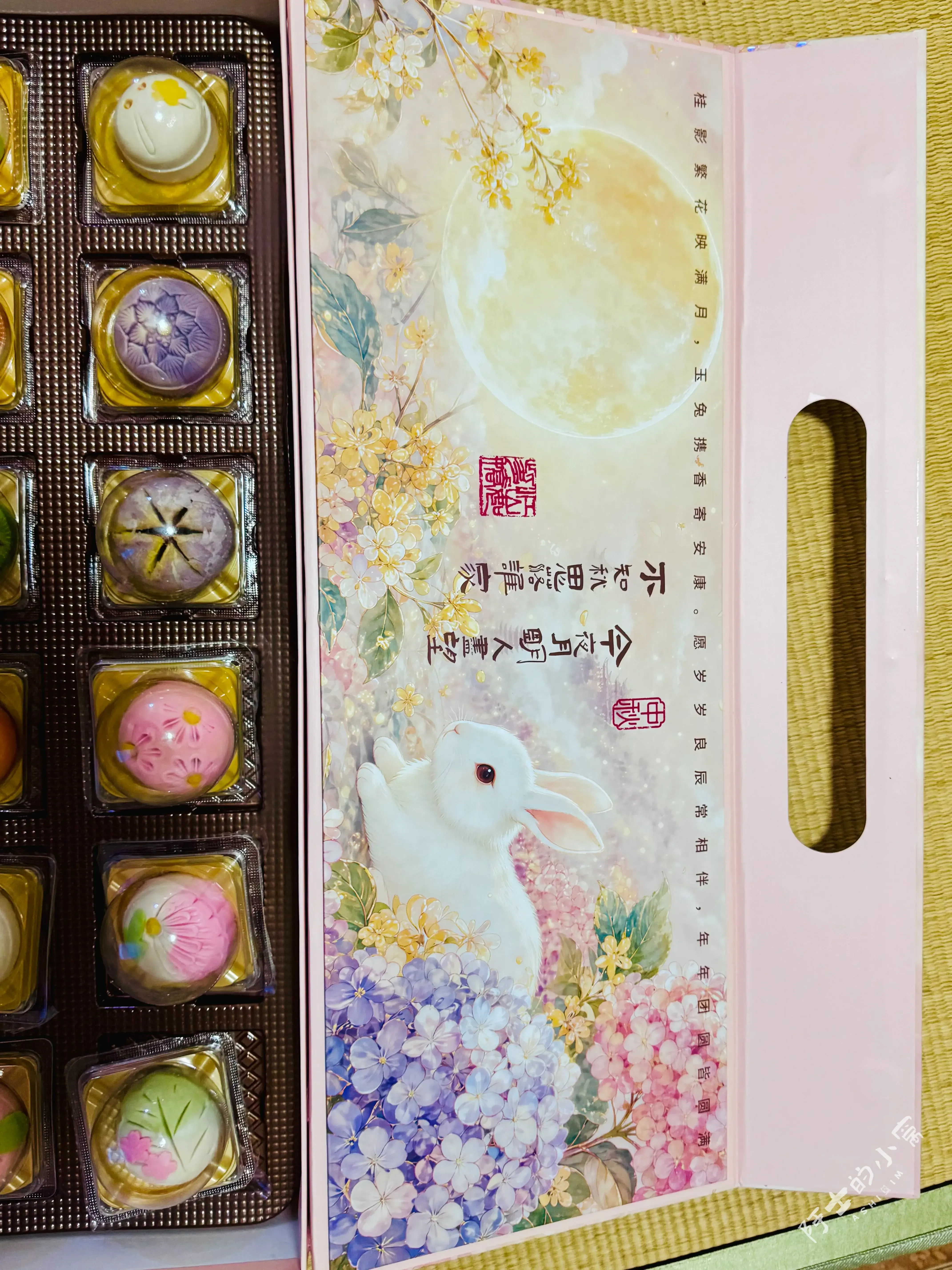 玉兔望月相思起