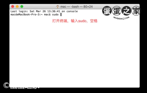 输入sudo
