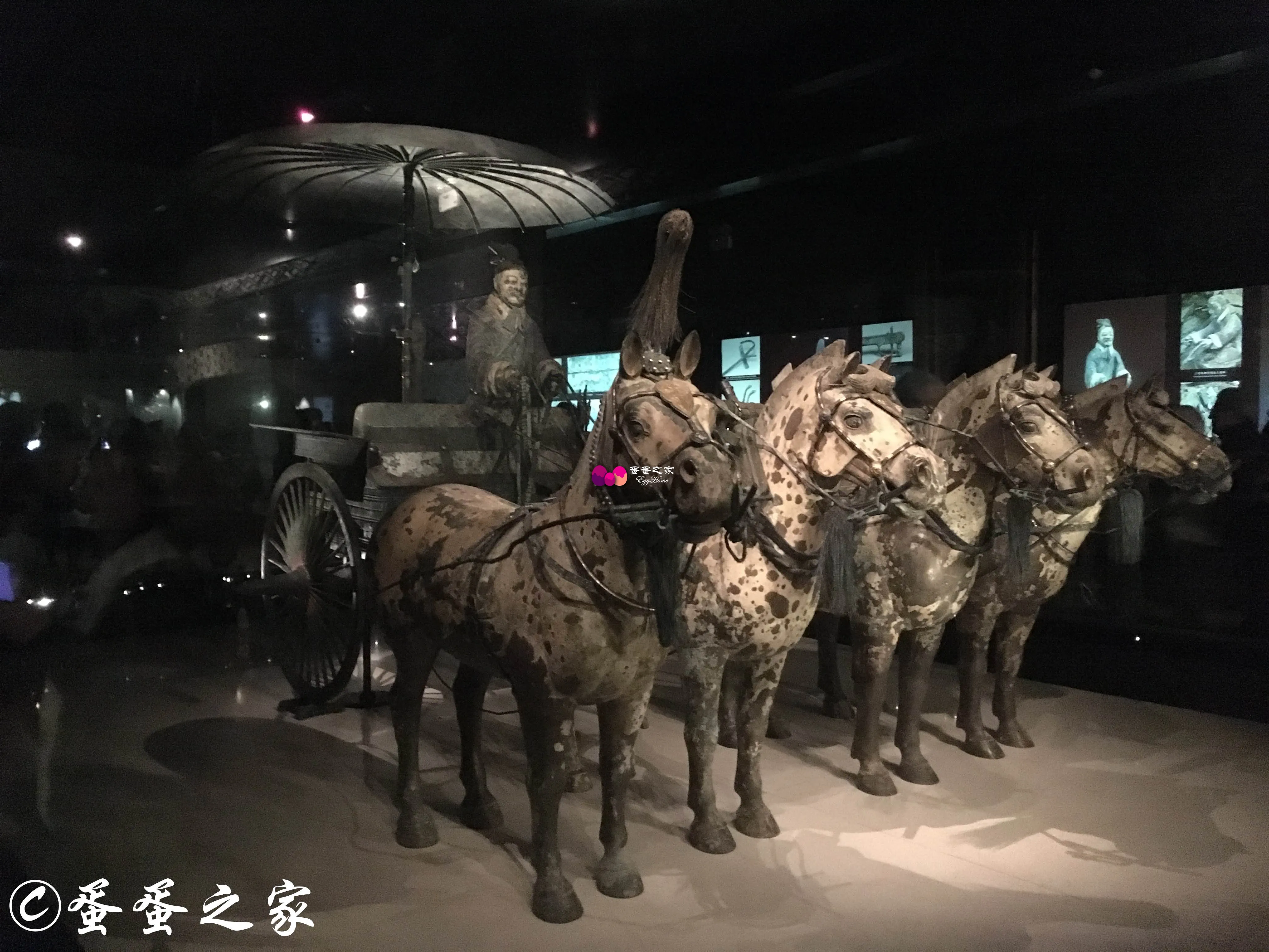 国宝马车,什么名字忘了 国宝马车,什么名字忘了
