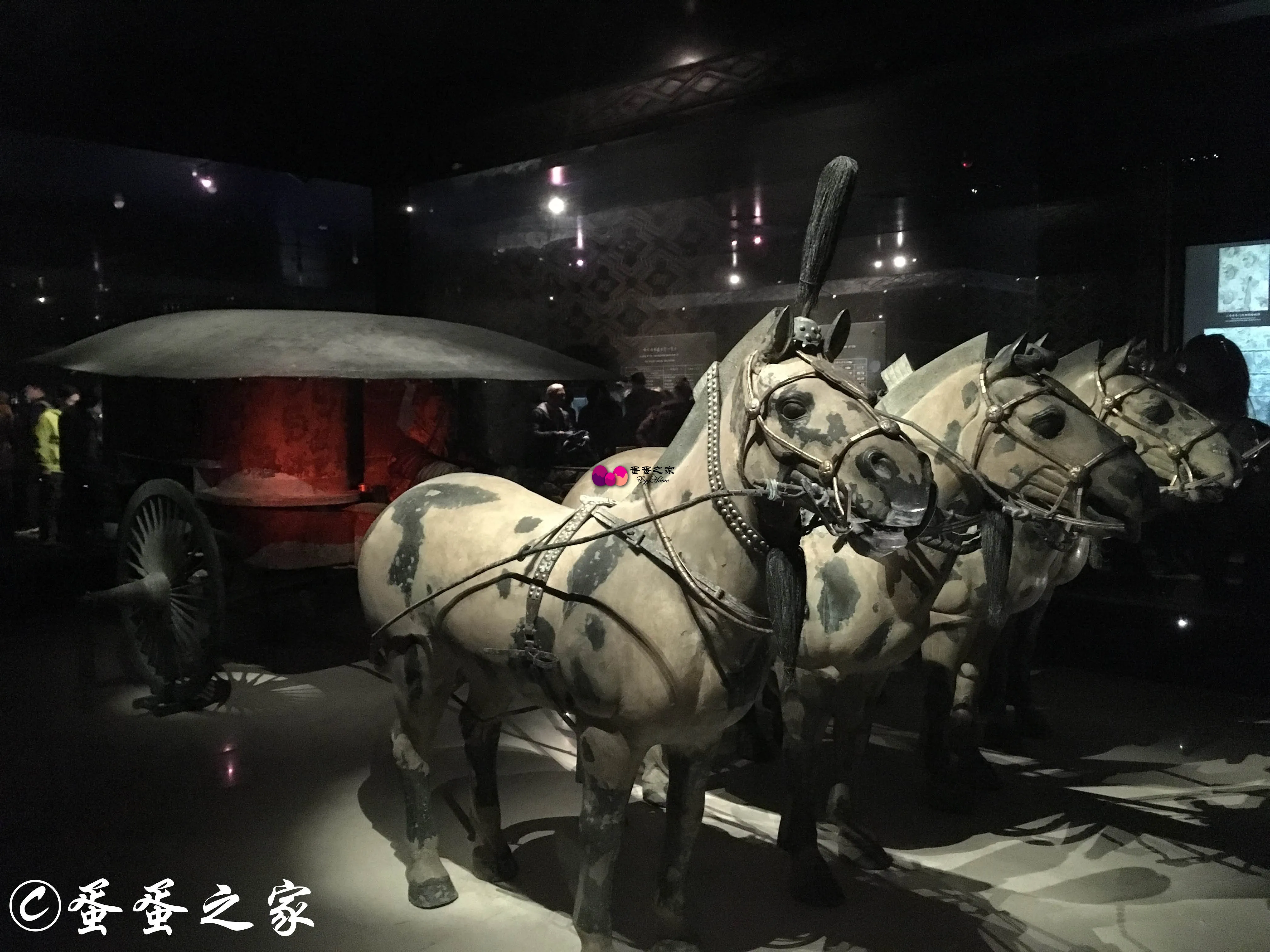 另一件国宝,冬暖夏凉的马车 另一件国宝,冬暖夏凉的马车