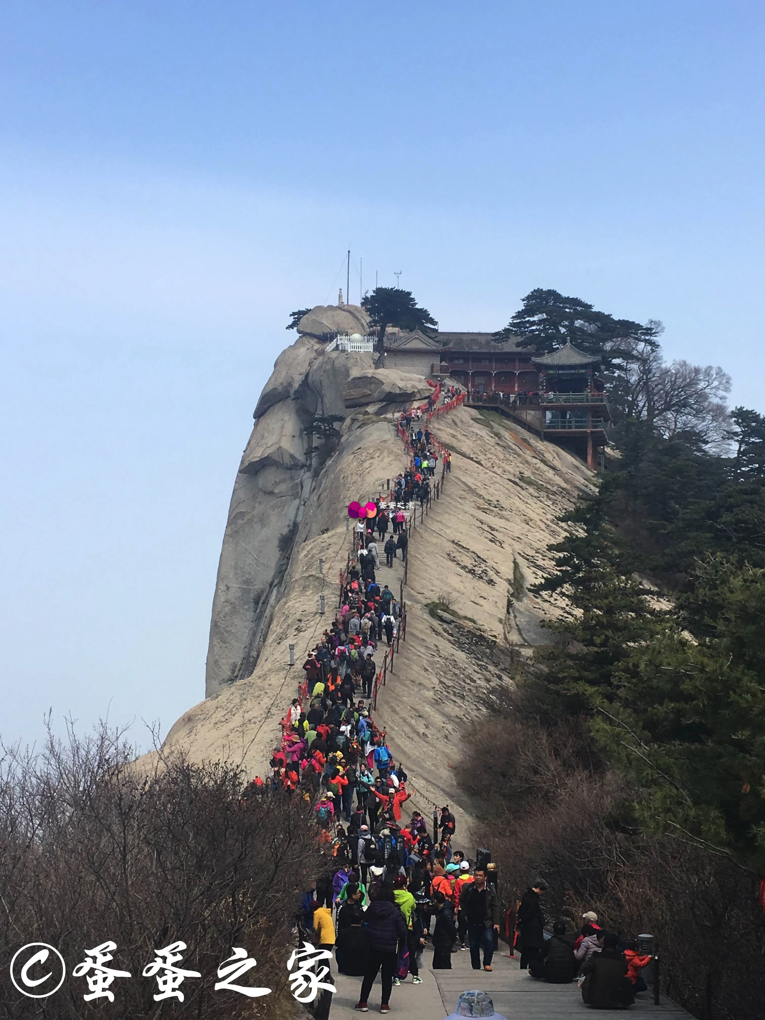 蜿蜒的人群 蜿蜒的人群