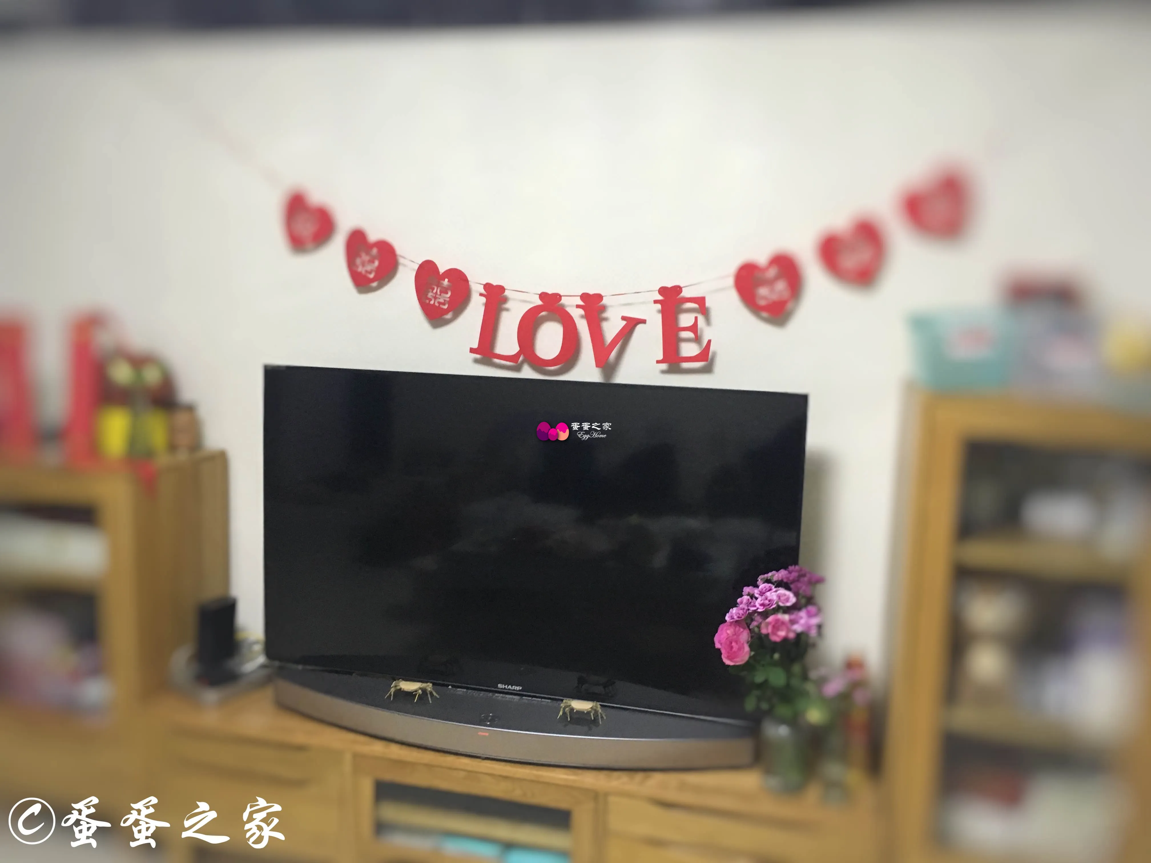 回到家了 回到家了