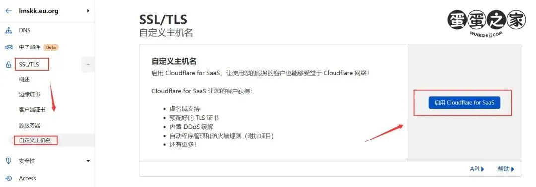 订阅 CloudFlare for SaaS