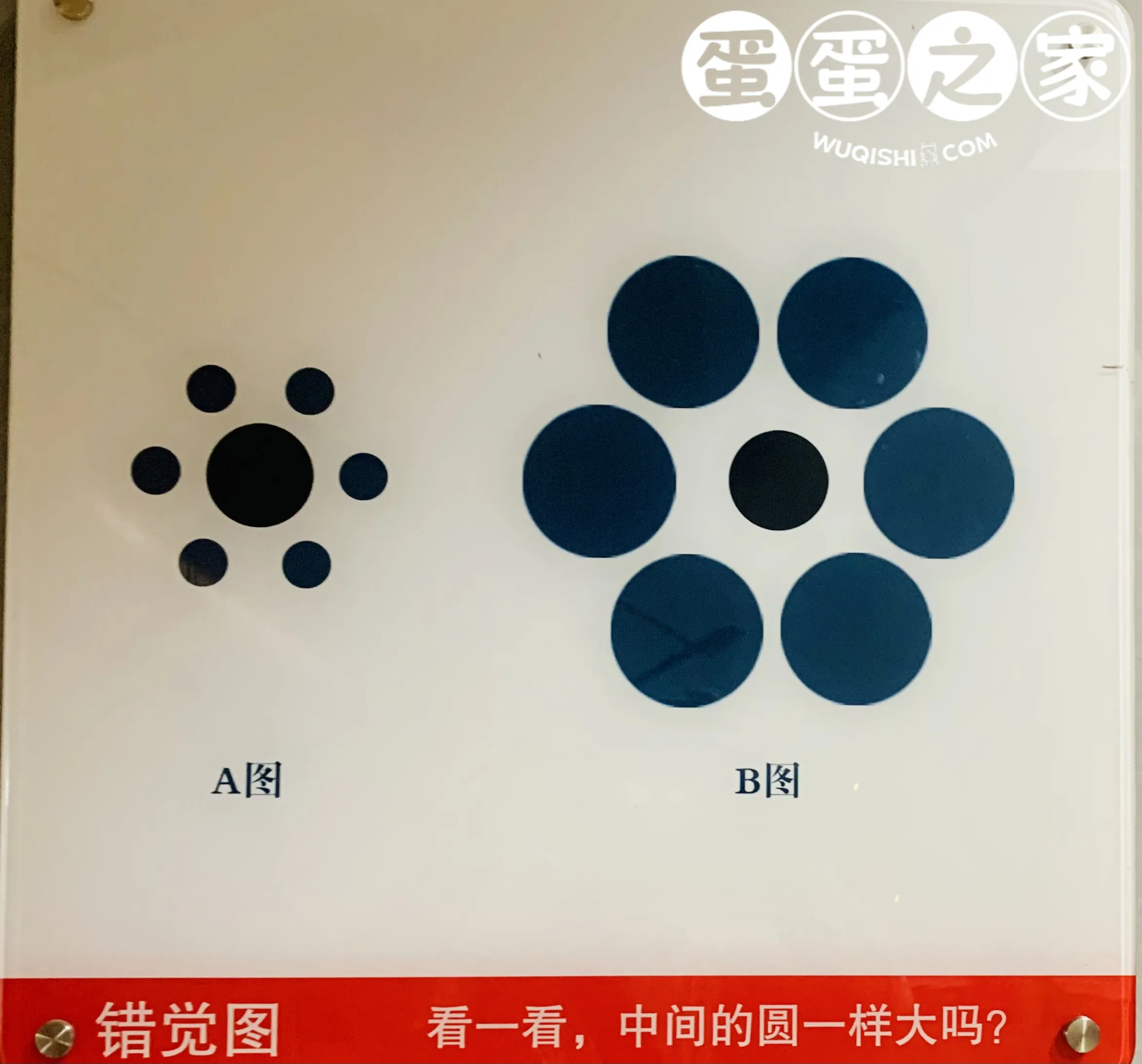 省科技馆之行