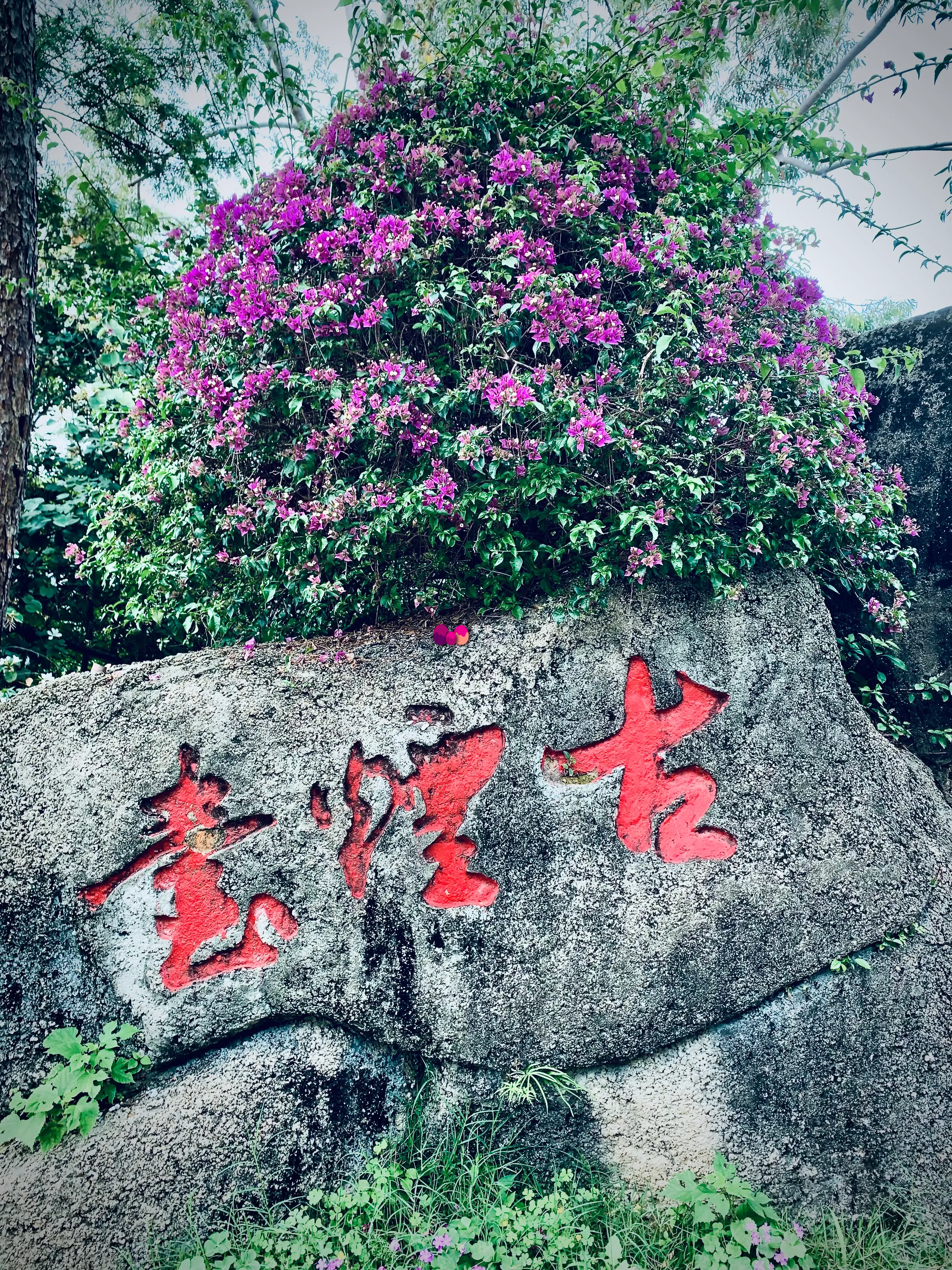 古烟台题字