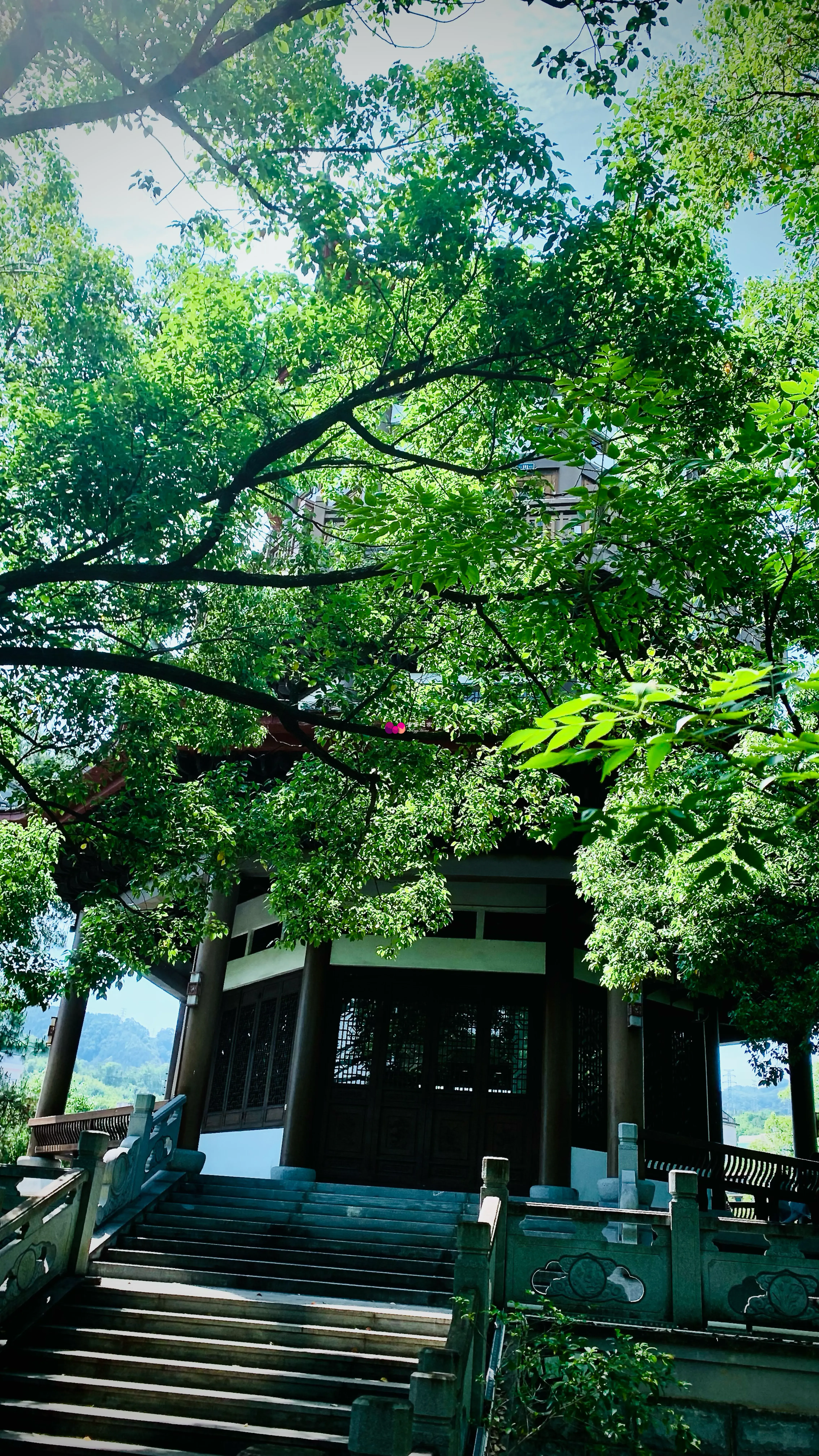 古刹隐于枝丫中 古刹隐于枝丫中